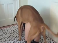 Dog pounding a beastie gal from behind